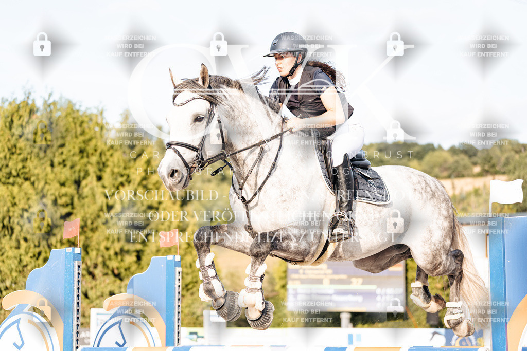 CK903383 | Turnierfotografie Pferdefotografie Trier Rheinland-Pfalz Pferdesport Reitsport Tierfotografie Sportfotografie Pferdevideo Pferdevideografie Equestrianvideography equestrianphotography  - Realisiert mit Pictrs.com