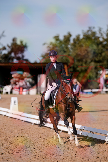 2026_10_03_Siefer-Hof_115753_Z81_99522094 | Professionelle Reitsport-, Turnier- und Eventfotografie von Robert Broda. Galerien mit ausgewählten und bearbeiteten Bildern direkt online ansehen und bestellen.