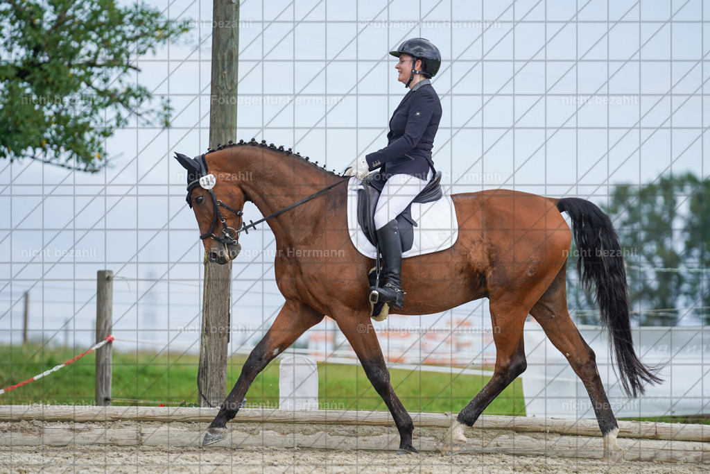 20230826-FAH05150 | Forstinning, 2023, Dressurturnier, Turniersportbilder, Turnierfotografen Bayern, Fotoagentur Herrmann, Reitsportfotografie, Turnierbilder