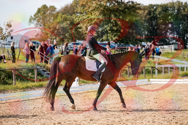 2026_10_03_Siefer-Hof_130436_Z63_67358935 | Professionelle Reitsport-, Turnier- und Eventfotografie von Robert Broda. Galerien mit ausgewählten und bearbeiteten Bildern direkt online ansehen und bestellen.