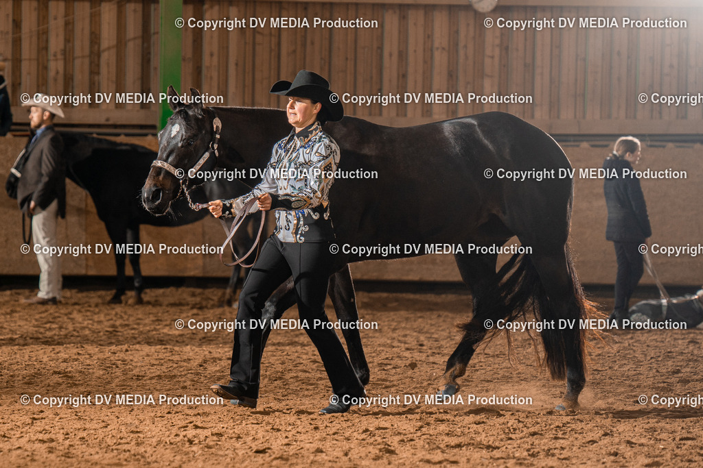 BAL01383 | dv-media-shop - Realisiert mit Pictrs.com