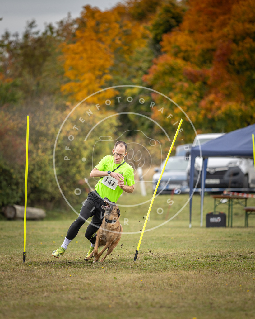 Pfotenfotografie_DV3A8103 | Hundefotografie, Tierfotograf, Pfotenfotografie, Fotoshooting Hund, Hunde Portrait, Hundesport, Hundeportraits, Heideshooting, Hunde, Sportfotograf, Hundefotograf, Turnierhundsport, THS,  - Realisiert mit Pictrs.com