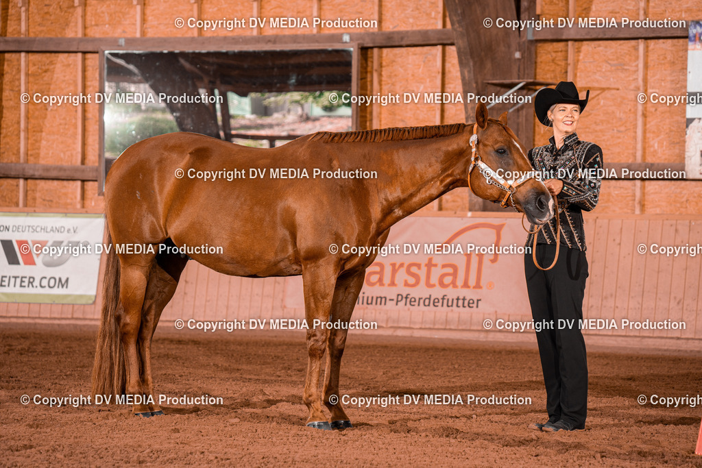 NE200032 | dv-media-shop - Realisiert mit Pictrs.com