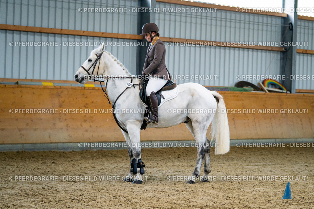 DSC00657 | Pferdegrafie