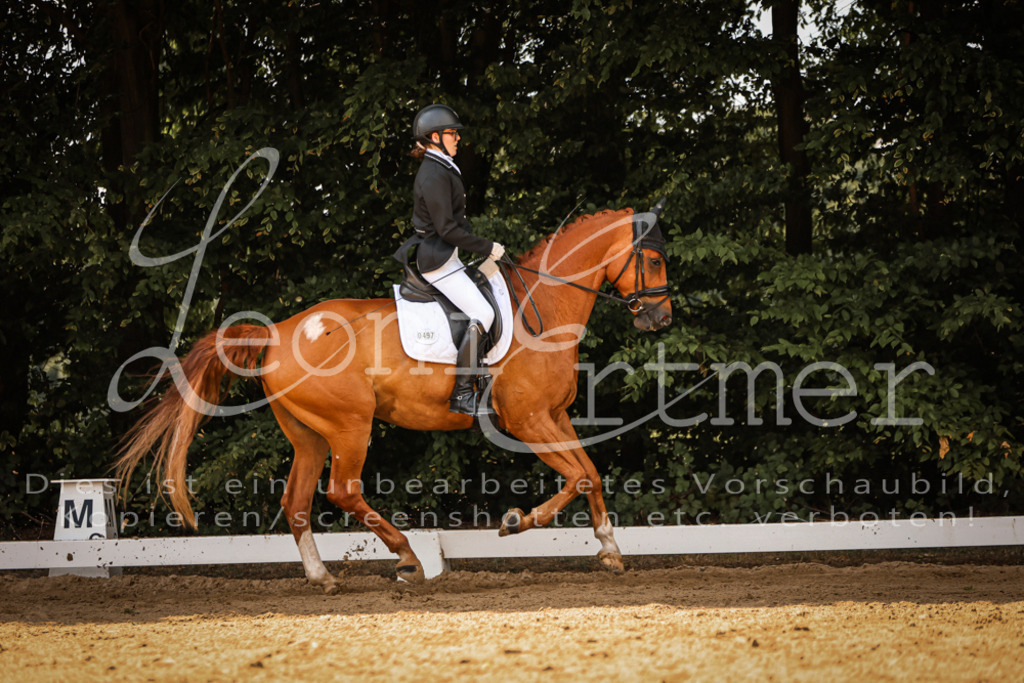 09.FrDrA200118 | Leoni Ertmer Photography - Realisiert mit Pictrs.com