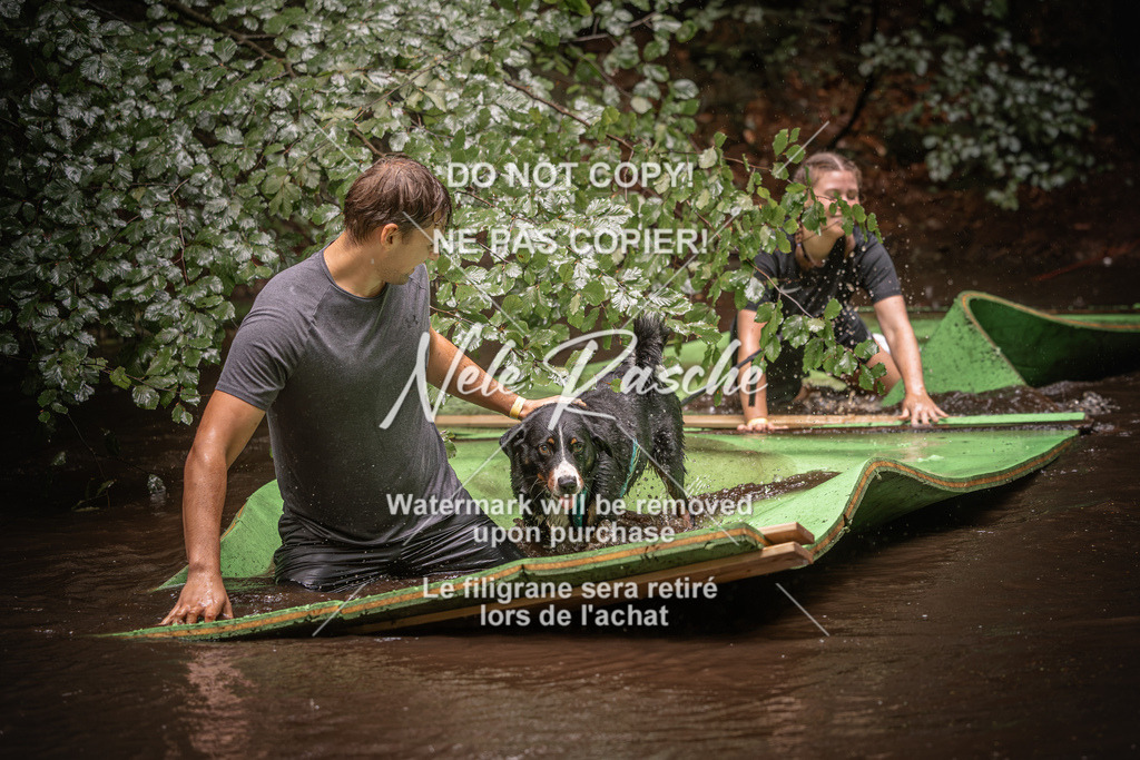 nelerasche_Wingst_Sa1330-1400_150 | nelerasche