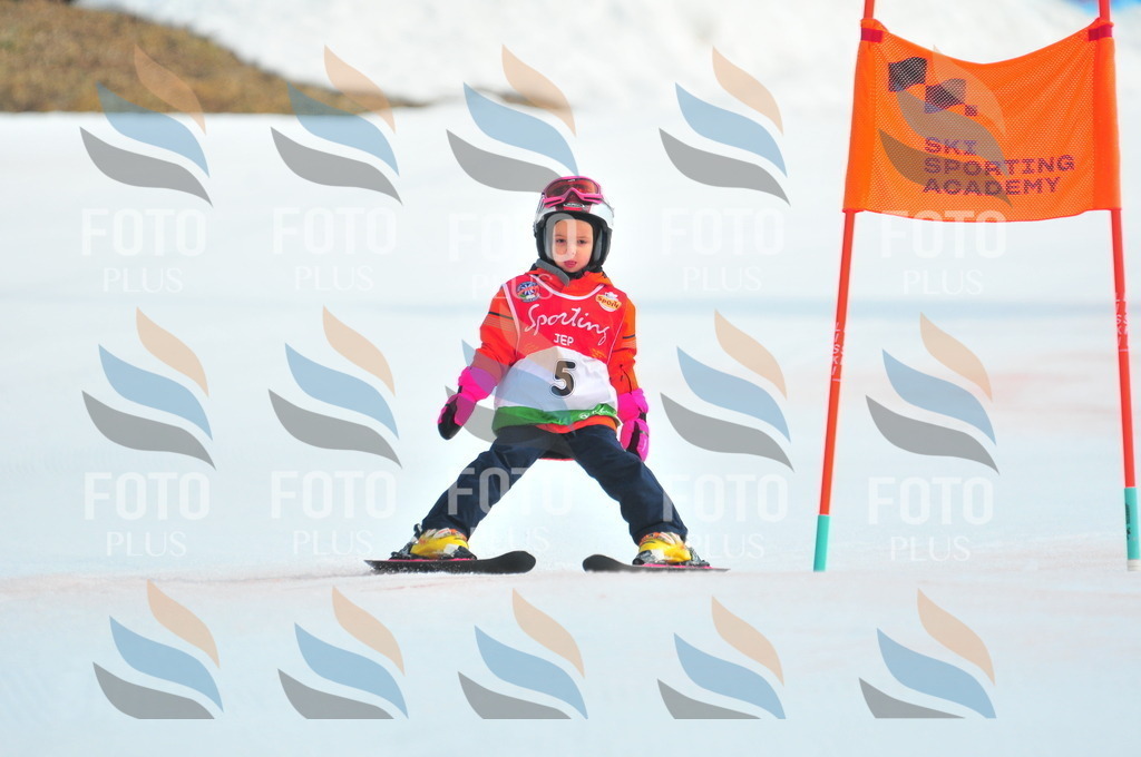 C0811 | holidayphoto