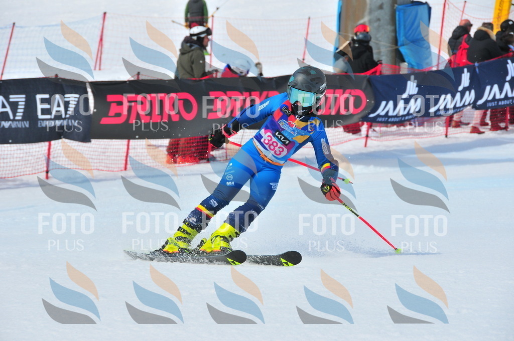 DSC_7239 | holidayphoto