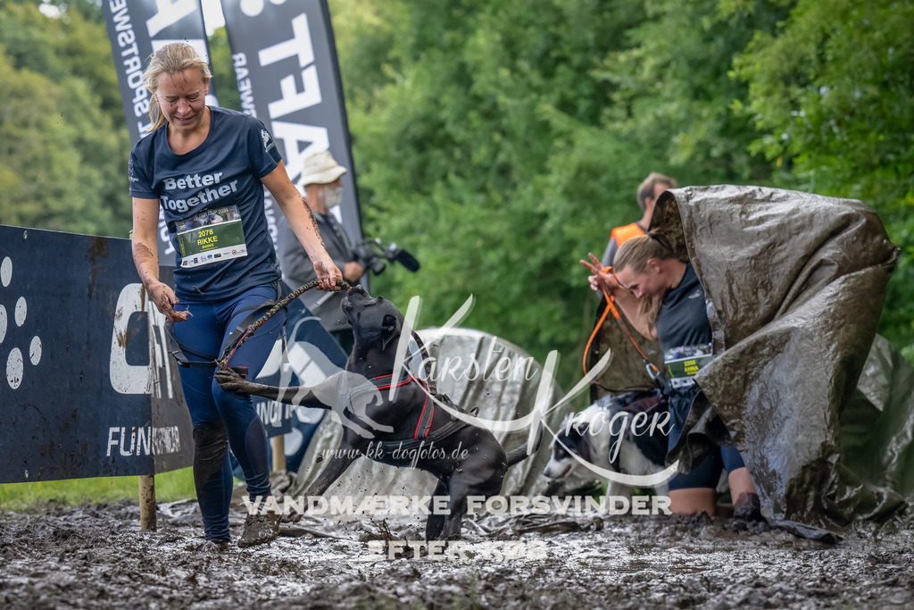 1155_ZZ90266-Bearbeitet | kk-dogfotos