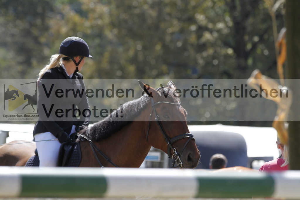 _MG_6642 | equestrian-live-com