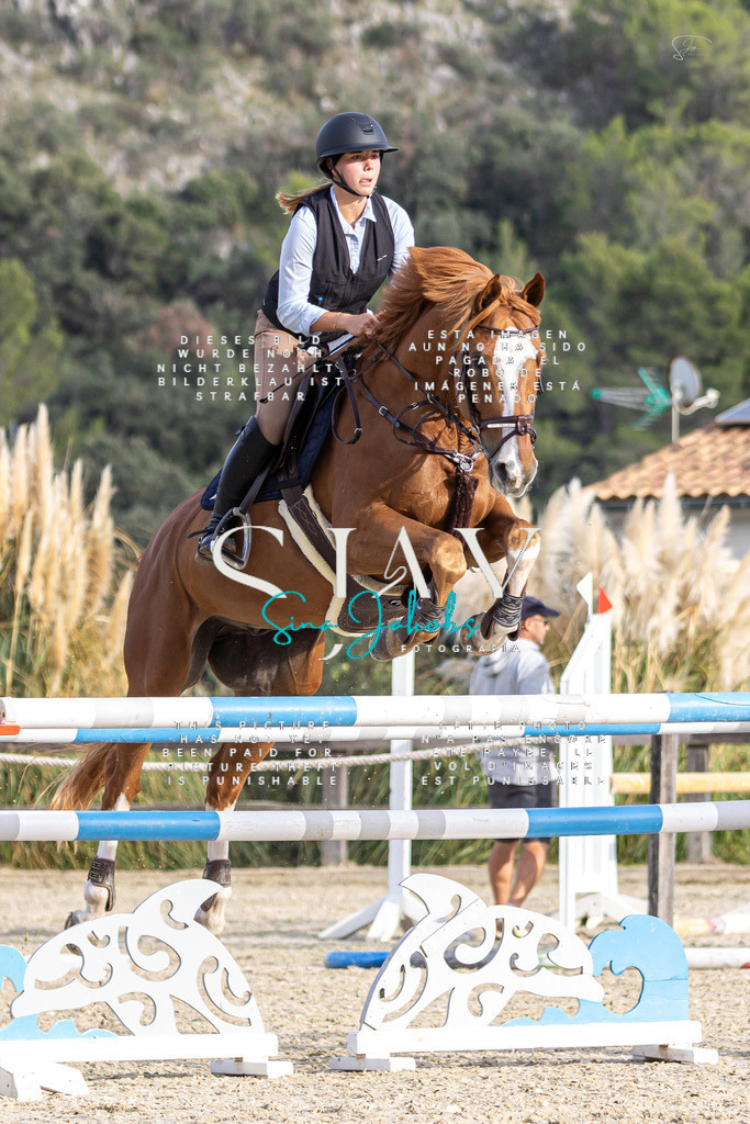 IMG_4633 | s-jay-photography - Realisiert mit Pictrs.com