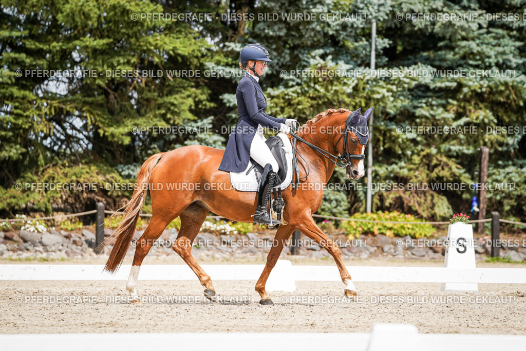 DSC06179 | Pferdegrafie