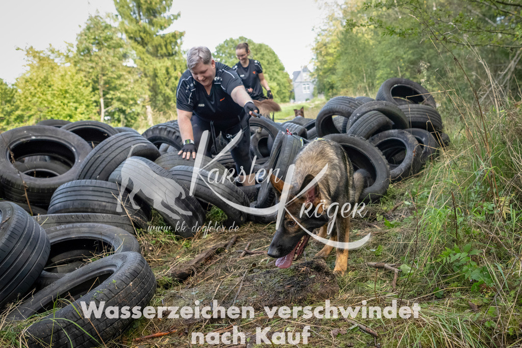 1504_ZZ91048-Bearbeitet | kk-dogfotos