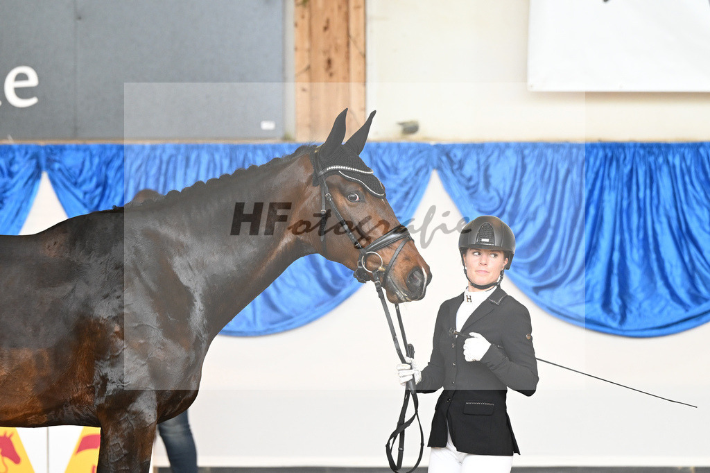Halfter_Valerian S_10232016 | hf-fotografie - Realizzato con Pictrs.com