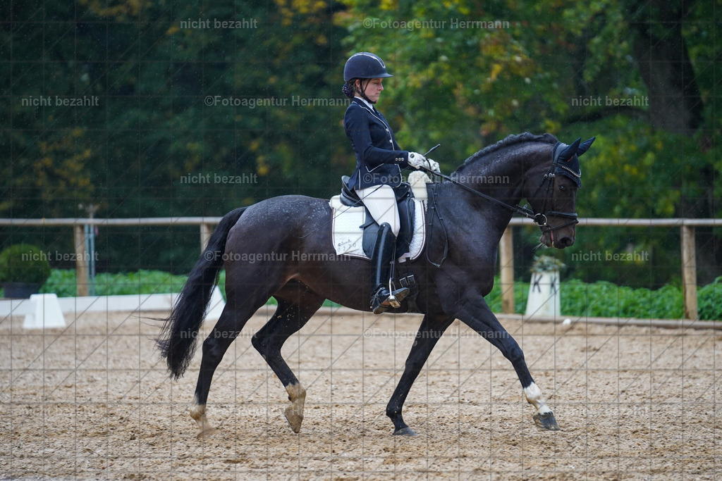 20221008-FAH02141 | Diessen am Ammersee, 2022, Dressur- und Springturnier, Reitsportbilder, Turnierfotografen Bayern, Pferdefotografen, Fotoagentur Herrmann, Turnierbilder