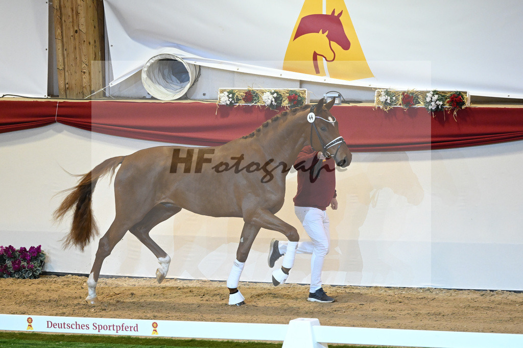 Kat-Nr. 44 Donier_Hertweck_1230032 | hf-fotografie - Realisiert mit Pictrs.com