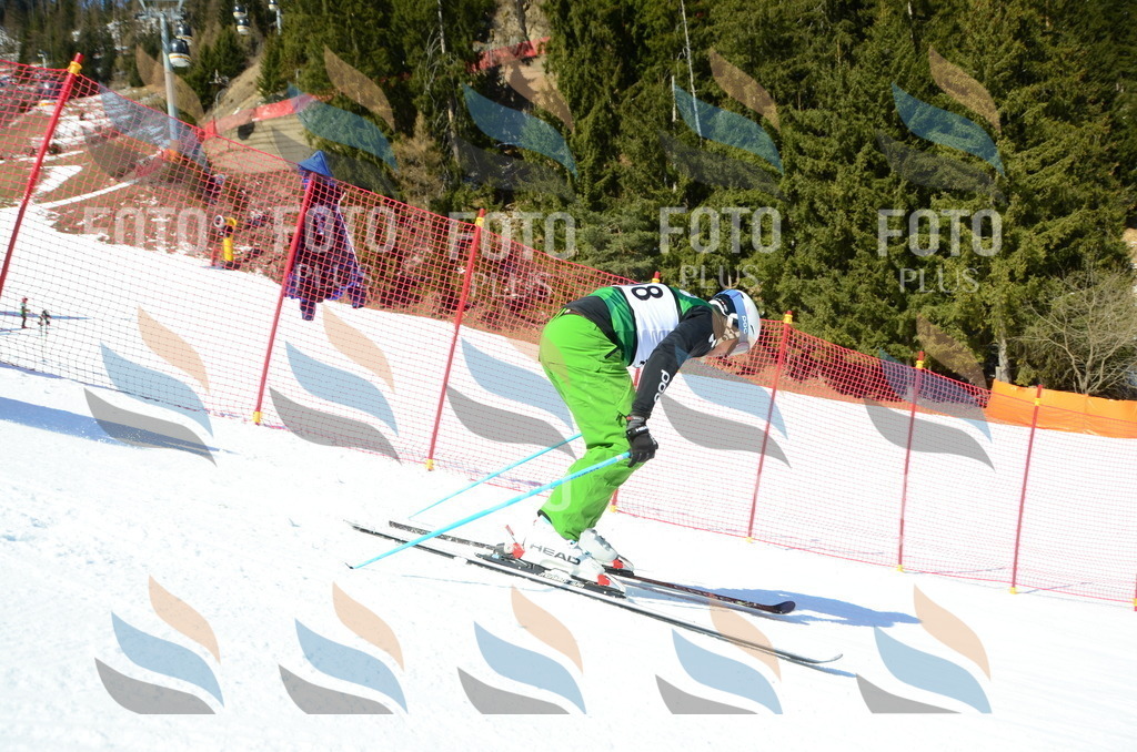 C6595 | holidayphoto