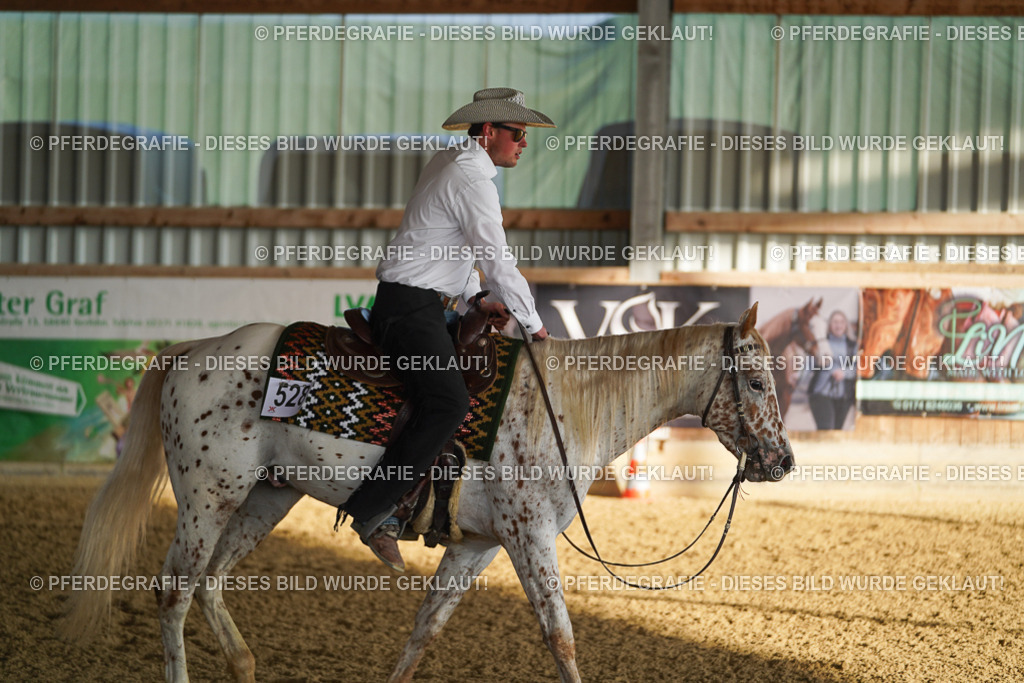 DSC08033 | Pferdegrafie