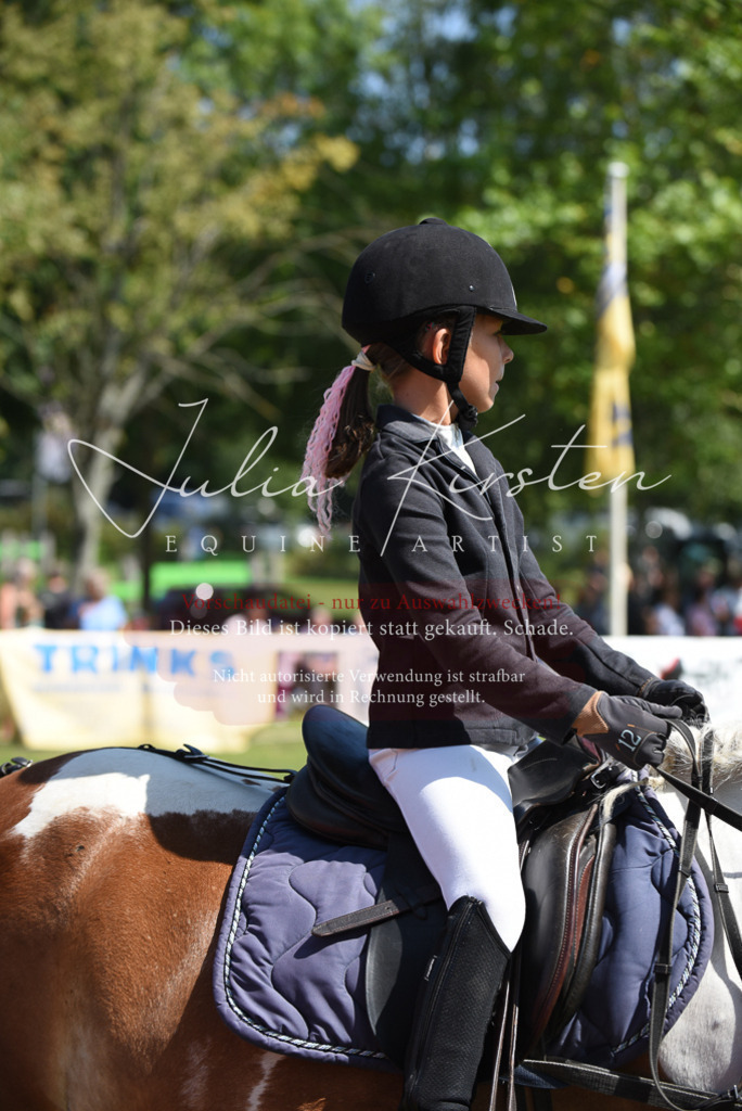 DSC_9825 | Pferde- und Turnierfotografie in Westsachsen. Pferdeportraits, Auftragszeichnungen und intuitive Kunst.