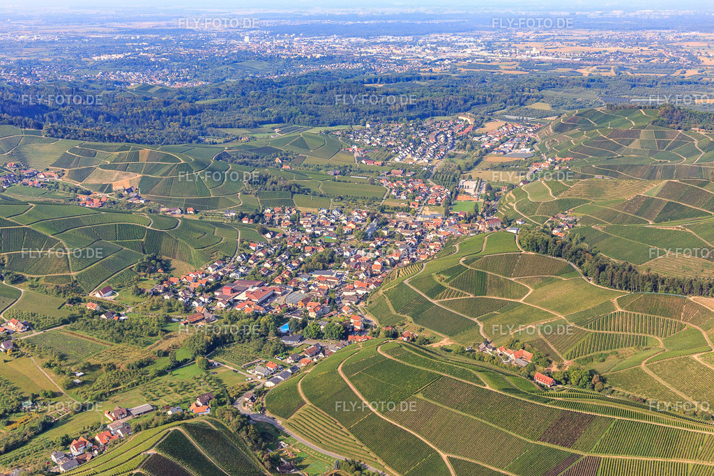 Weinberge im Tal aus Osten | Luftbild: Weinberge im Tal aus Osten im Ortsteil Hilsbach in Durbach im Bundesland Baden-Württemberg in Deutschland. Foto: IMG_008947.jpg vom 20.09.2020 durch Werner Riehm/FLY-FOTO.de - Realisiert mit Pictrs.com