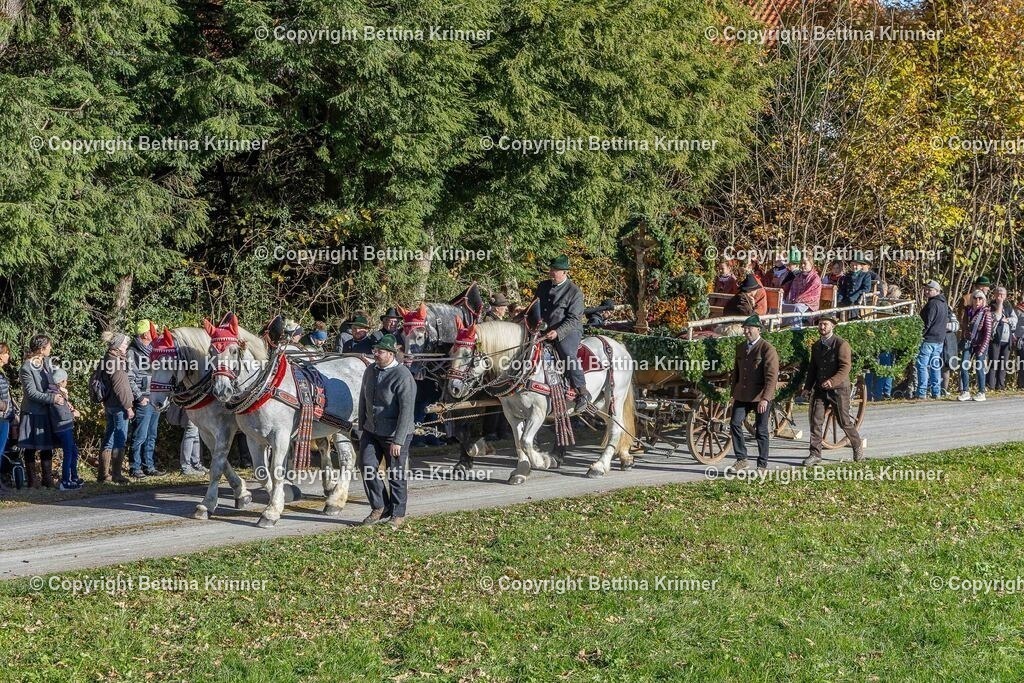 LBT25-588 | foto-bettina-krinner - Realisiert mit Pictrs.com