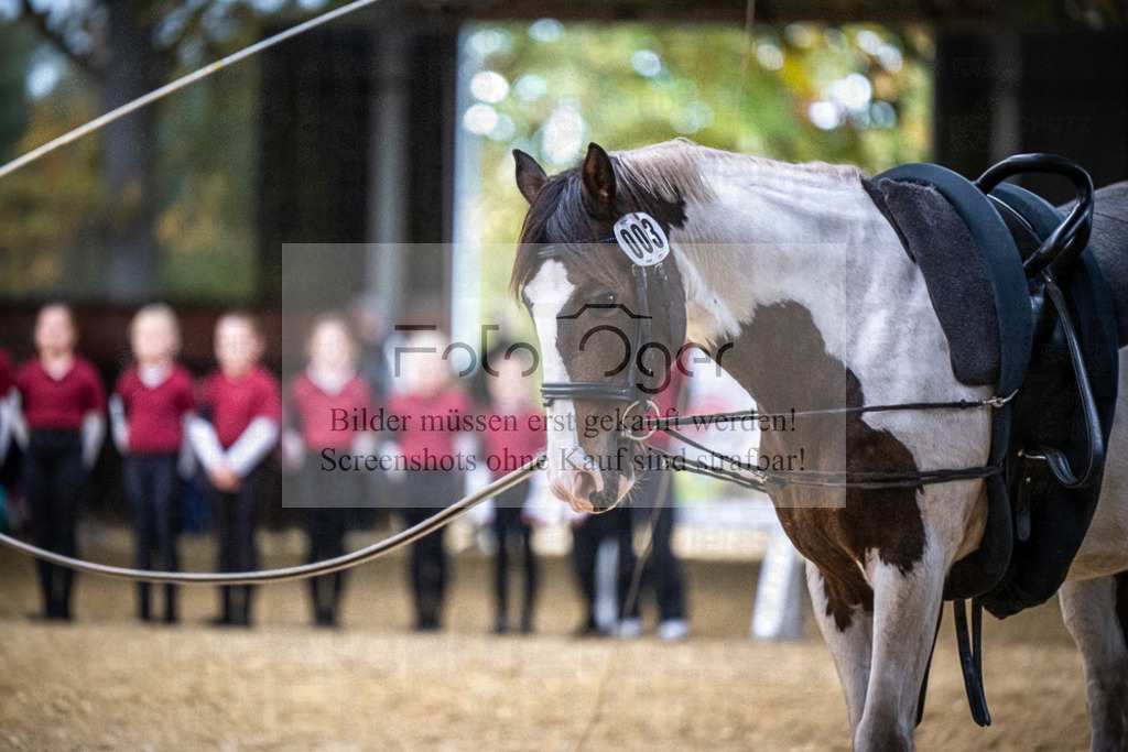 DOS_0040 | Entdecke hochwertige Reitturnierfotos von Foto Oger. Professionell, emotional und authentisch – jetzt Lieblingsmomente im Shop bestellen.Deutschlandweite Turnierfotografie. - Realisiert mit Pictrs.com