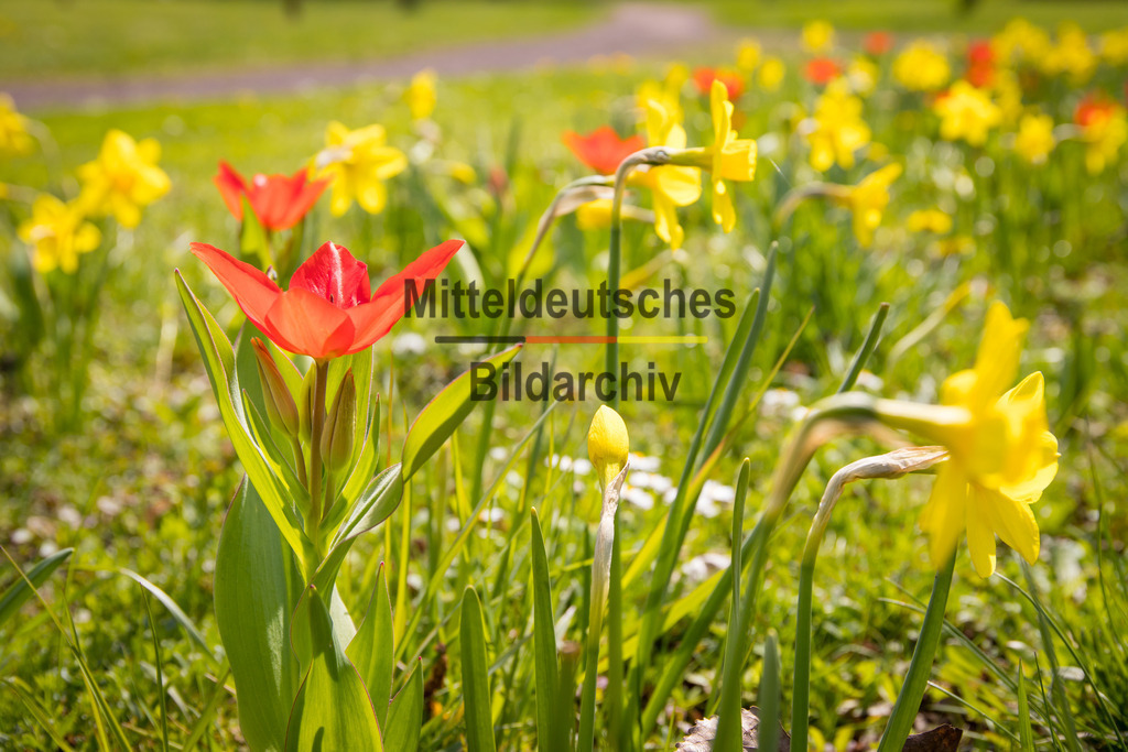 Eichenbarleben-2676 | Park Eichenbarleben - Realisiert mit Pictrs.com