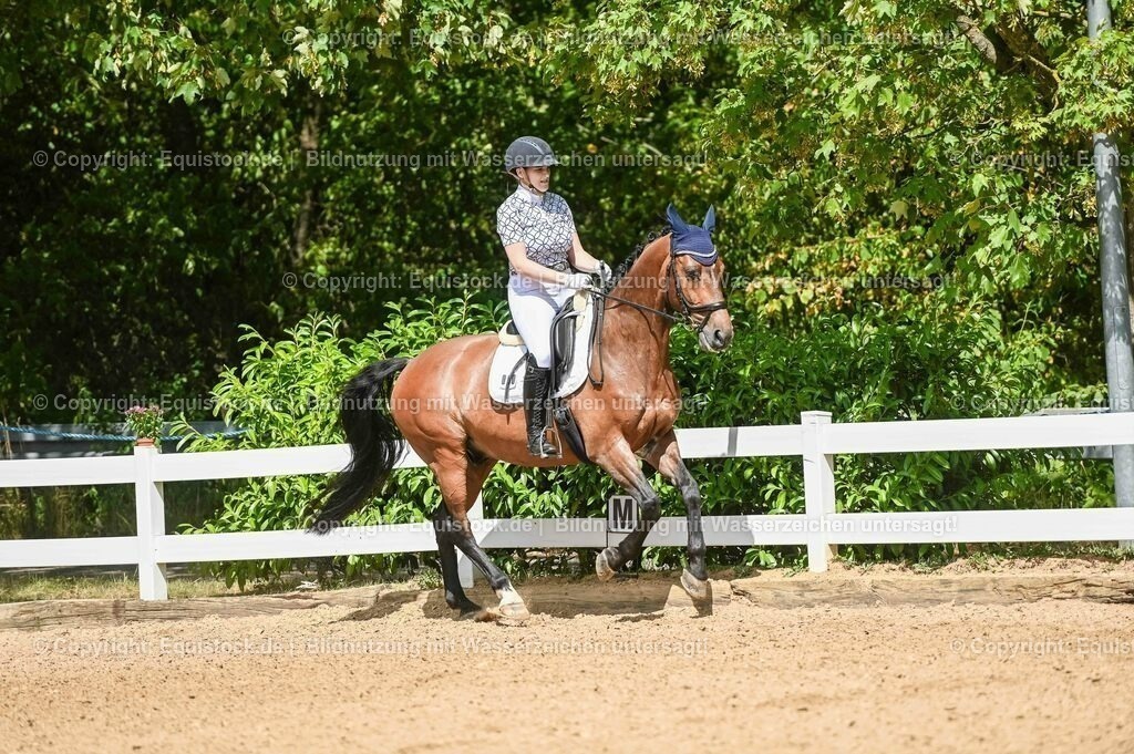 20230715_02_Dressurreiterprüfung Kl.L_0148 | equistock