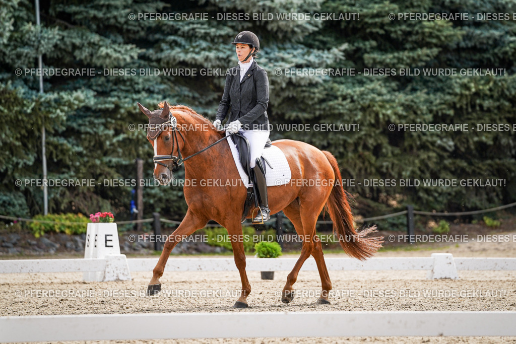 DSC08377 | Pferdegrafie