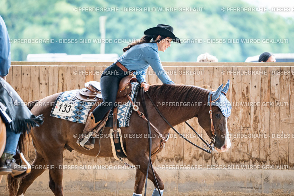 DSC08653 | Pferdegrafie