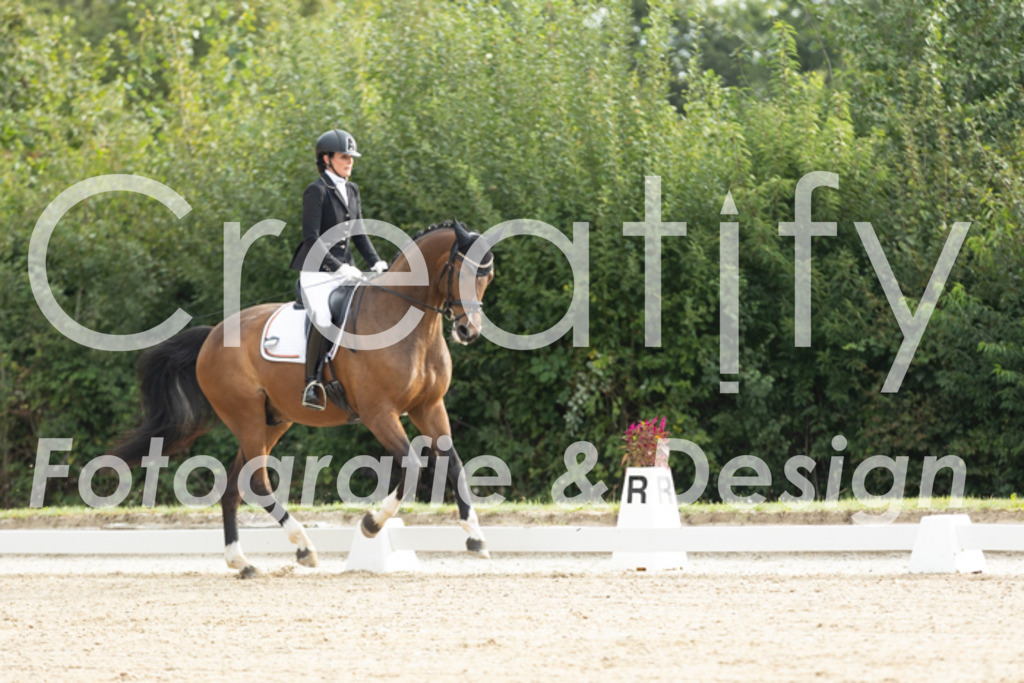 IMG_4091 | Creatify Fotografie