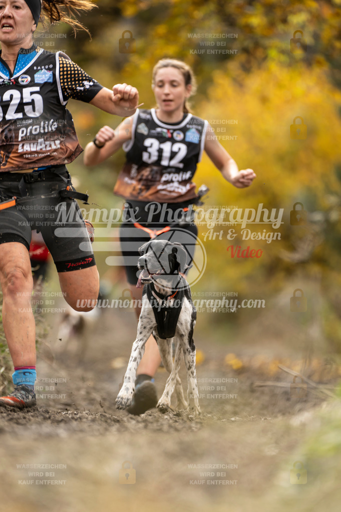 MompixPhotography_ICF_WC_2024_SA_Run_-190 | PayLife