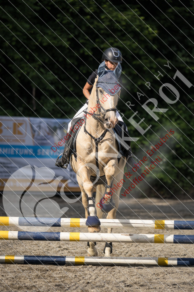 IMG_5926 | Sport-, Event- und Tierfotos in Profiqualität. Einfach auswählen, bestellen und herunterladen. Dein Moment – perfekt festgehalten.