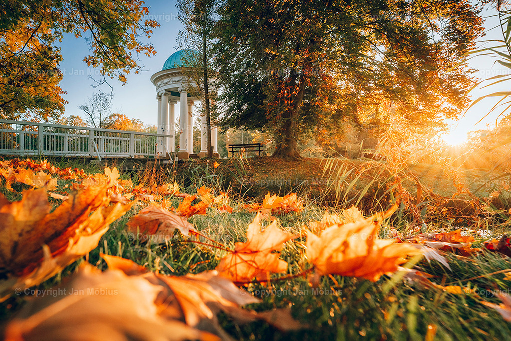 _DSC7750 | Leipzig Wandbilder Drucke Prints Leinwand Stadtmotive Leipzig Fotosdruck Kunstdrucke Bilder Leipzig Stadtansichten Acrylglasbilder Leipzig Wanddeko Fine Art Prints Wandbilder Büro Leipzig Bilder Praxis Zuhause Bilderdruck Poster Posterlounge Kunstdrucke - Realisiert mit Pictrs.com
