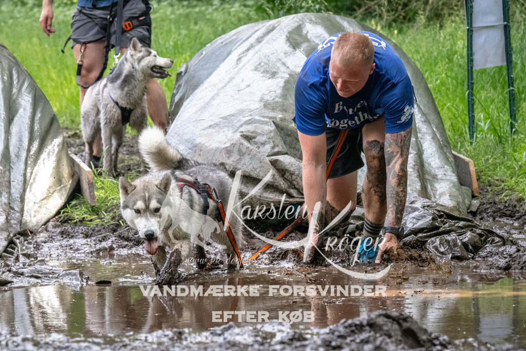 1251_ZZ93967 | kk-dogfotos