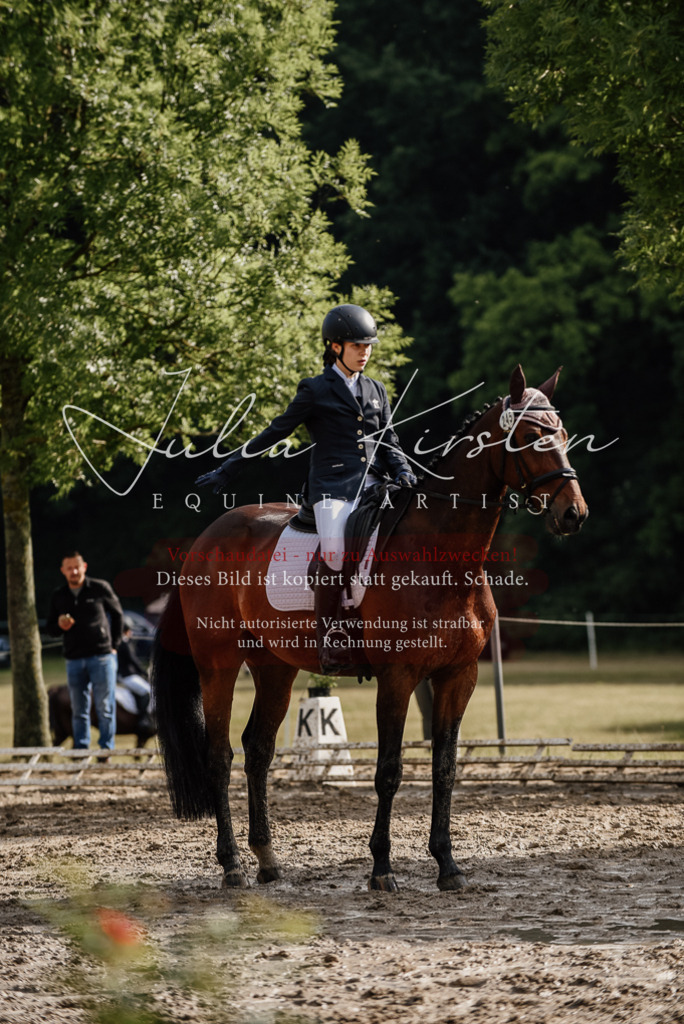 DSC_8685 | Pferde- und Turnierfotografie in Westsachsen. Pferdeportraits, Auftragszeichnungen und intuitive Kunst.