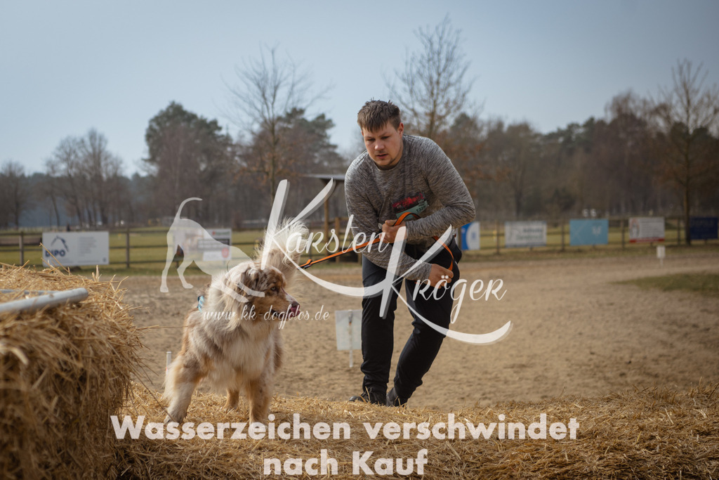 1128_ZZ93836 | kk-dogfotos