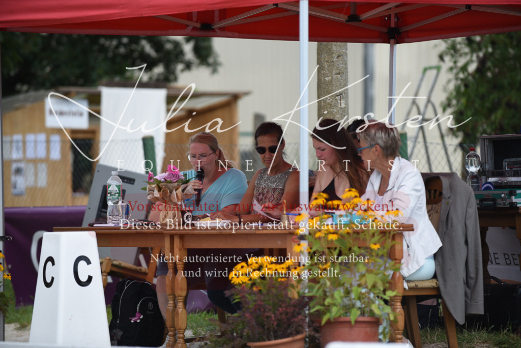 DSC_9005 | Pferde- und Turnierfotografie in Westsachsen. Pferdeportraits, Auftragszeichnungen und intuitive Kunst.