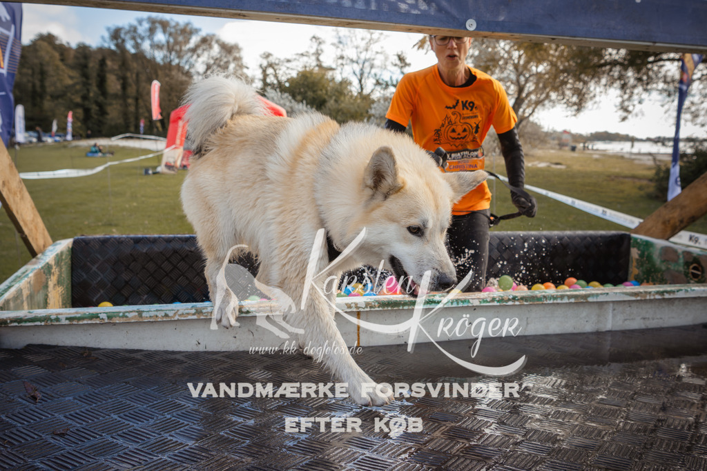 1324_ZZ90610-2 | kk-dogfotos