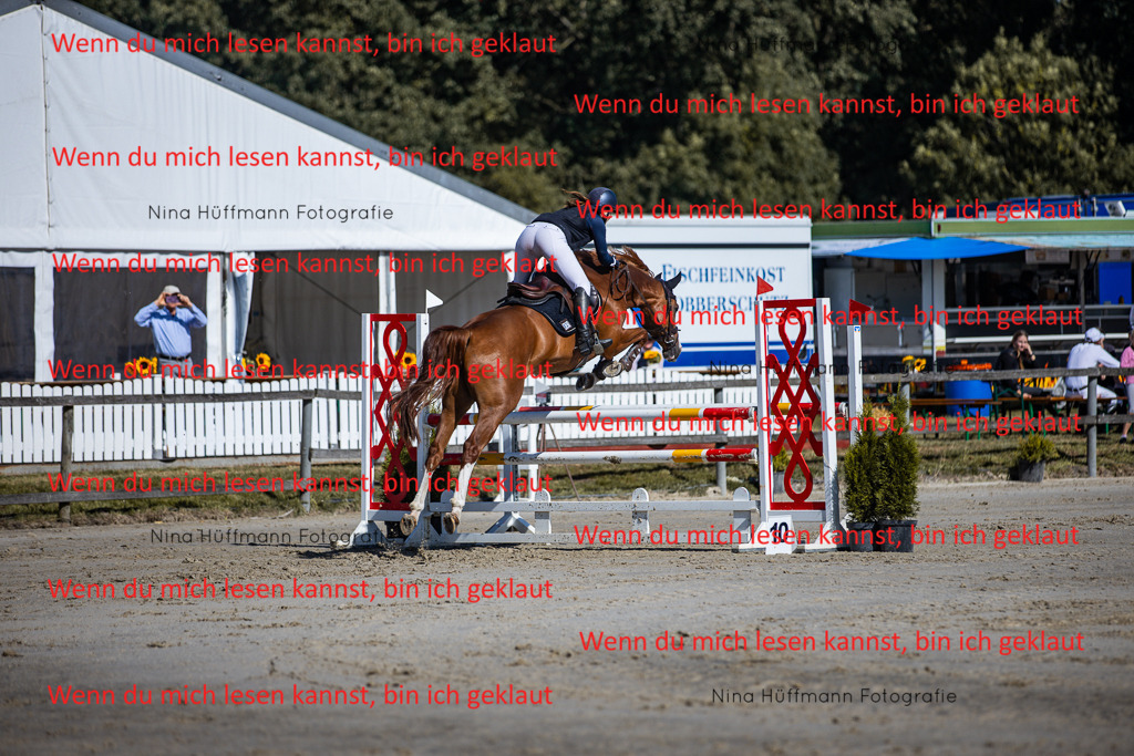BK1A5688 | Turnierbilder Turnierfotos Nina Hüffmann Turnierfotografie Pferdefotografie Tierzeichnung Haustierzeichnung Pferdezeichnung Hundezeichnung Videograf  - Realisiert mit Pictrs.com