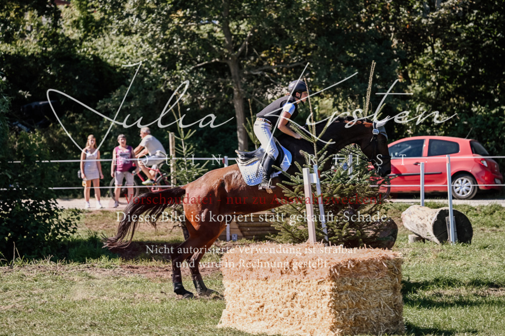 DSC_2695 | Pferde- und Turnierfotografie in Westsachsen. Pferdeportraits, Auftragszeichnungen und intuitive Kunst.