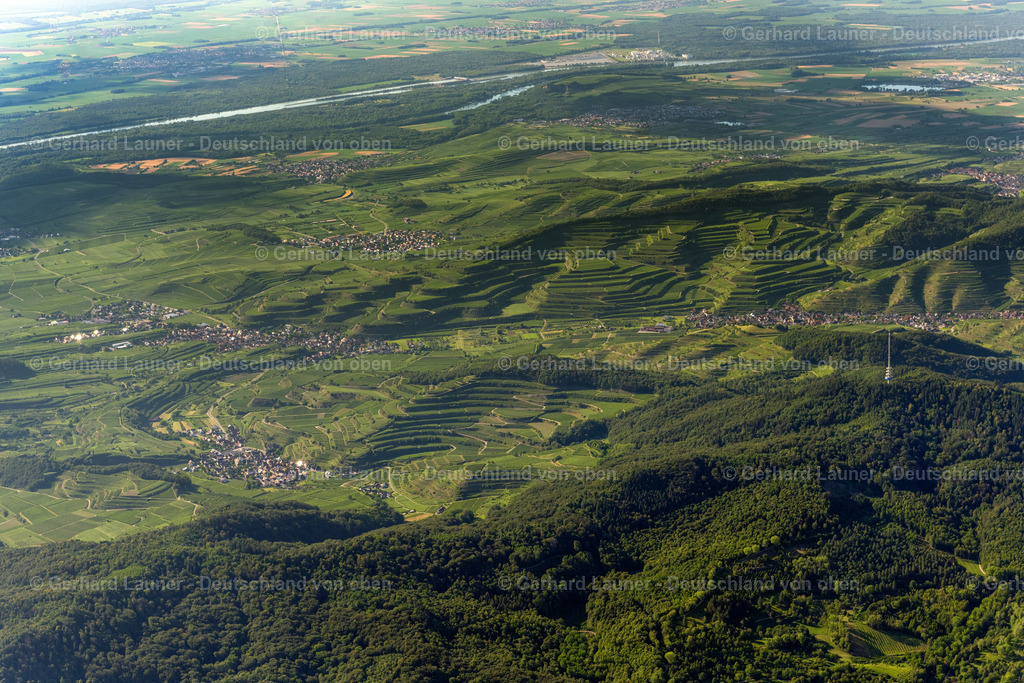 4034227 | Terassenweinberge am Kaiserstuhl bei Vogtsburg