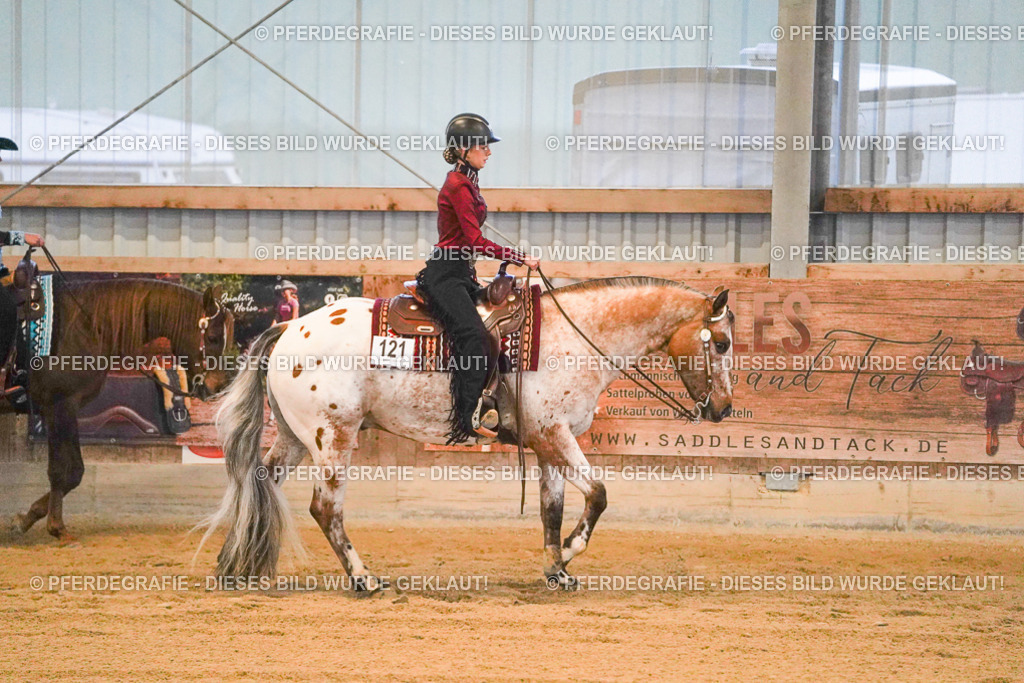 DSC08611 | Pferdegrafie