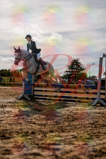 2026_10_03_Siefer-Hof_155119_Z63_10252391 | Professionelle Reitsport-, Turnier- und Eventfotografie von Robert Broda. Galerien mit ausgewählten und bearbeiteten Bildern direkt online ansehen und bestellen.