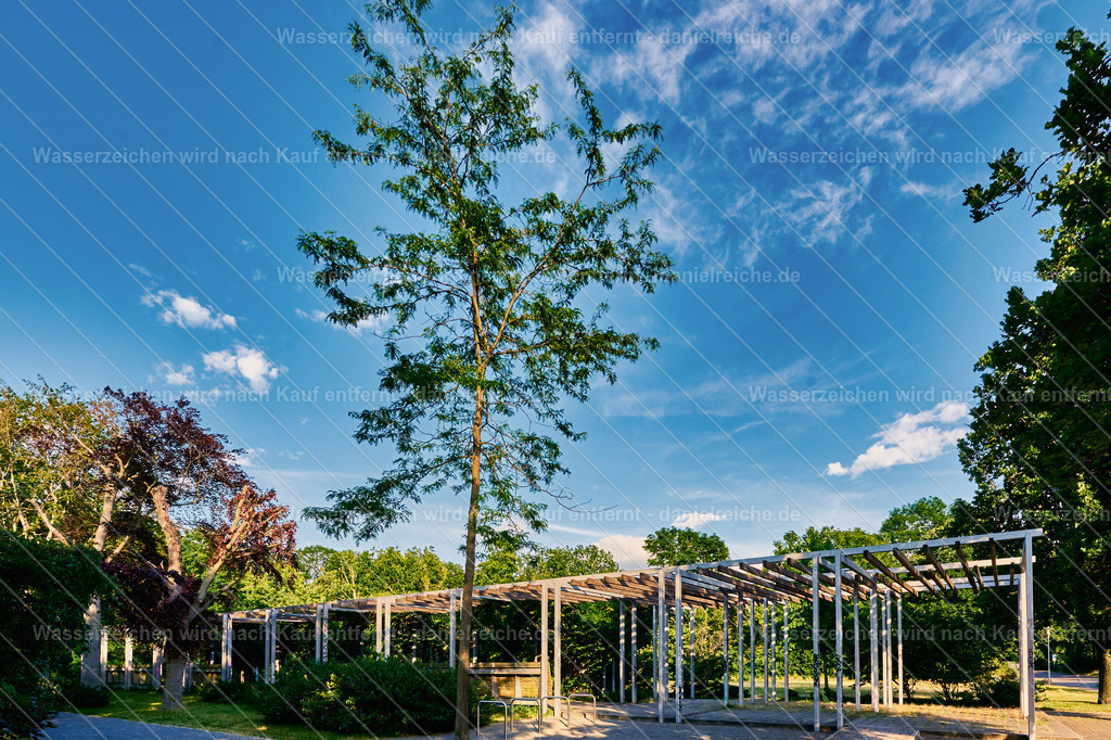 Leipzig Grünau – Pergola im Schönauer Park (Sommer 2021) | Leipzig Grünau – Pergola im Schönauer Park (Sommer 2021) - Realisiert mit Pictrs.com