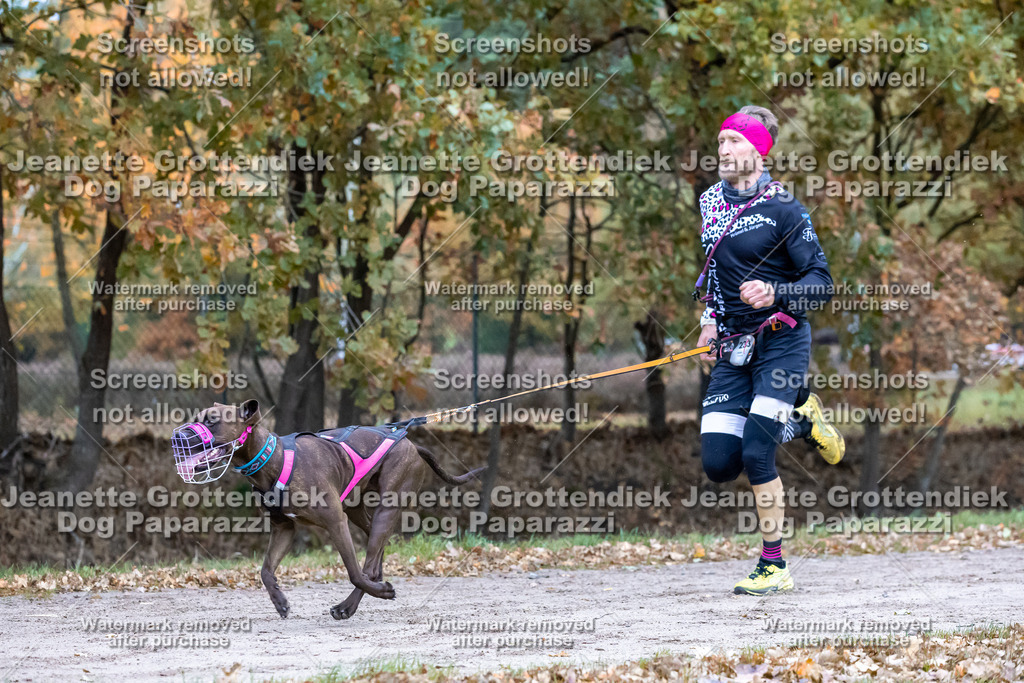 Dog Paparazzi - SD CaniX Championship 2025-143 | Dog Paparazzi Jeanette Grottendiek Fotografie & Videografie - Realisiert mit Pictrs.com