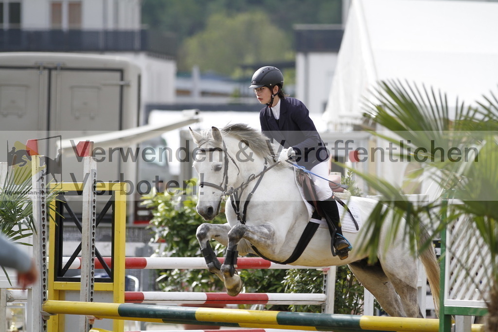 _MG_1255 | equestrian-live-com