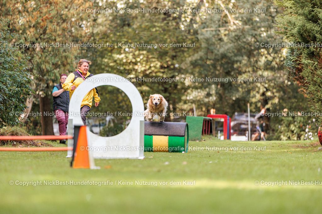 THS-HSV-Blumenthal-2026-Nickbest-Hundefotografie-1127 | Dein Hund! Dein Moment! Deine Erinnerungen! Hundefotografie in Bremen Blumenthal. Ich fange die besonderen Momente deines Vierbeiners ein – ob Indoor mit Blitzanlage oder in der freien Natur. Sicher dir dein Moment und dein Termin für eure Erinnerungen.