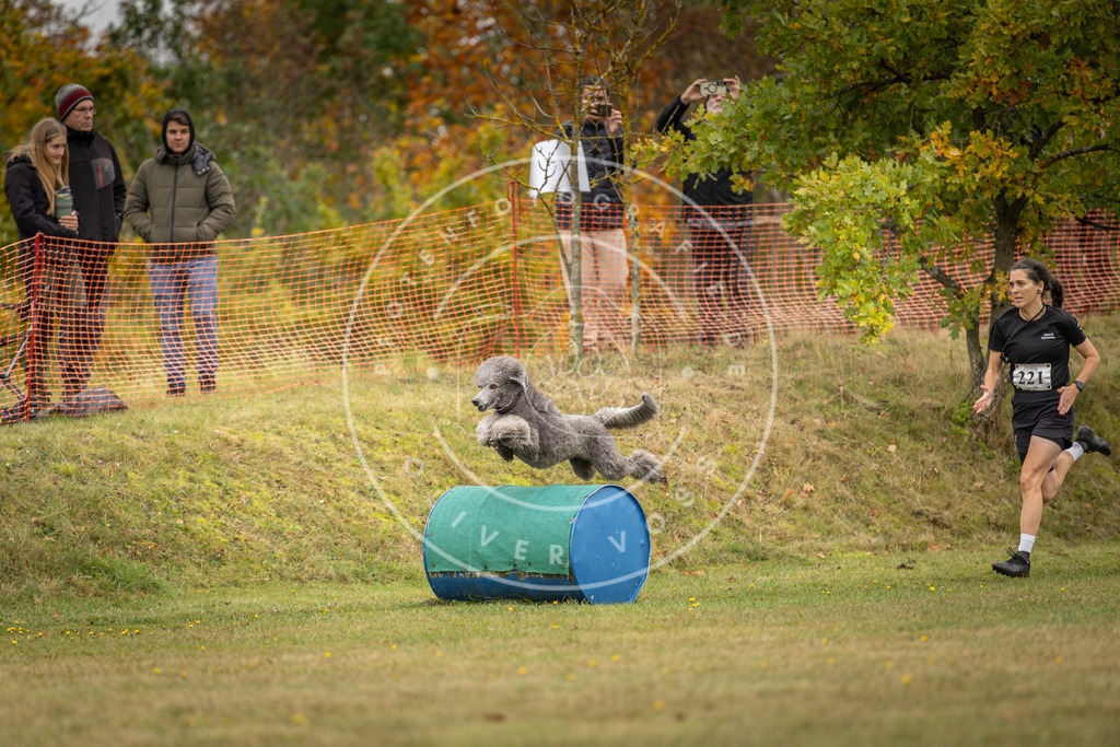 Pfotenfotografie_DV3A4489 | Hundefotografie, Tierfotograf, Pfotenfotografie, Fotoshooting Hund, Hunde Portrait, Hundesport, Hundeportraits, Heideshooting, Hunde, Sportfotograf, Hundefotograf, Turnierhundsport, THS,  - Realisiert mit Pictrs.com