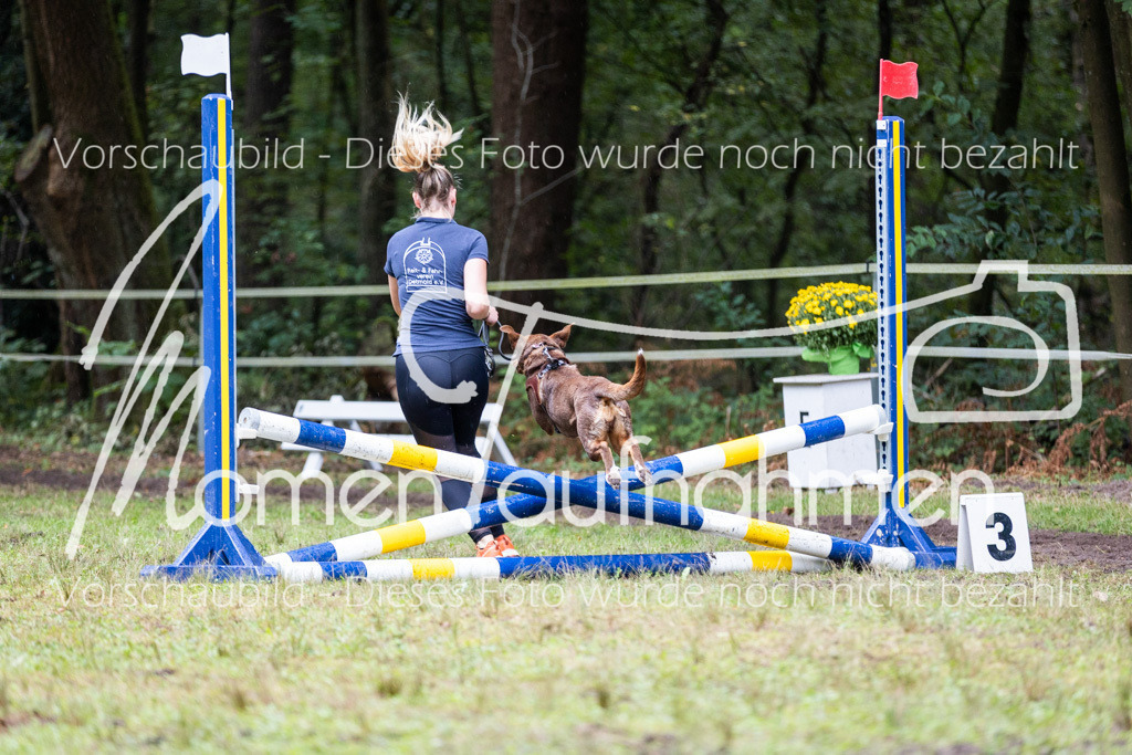 HB-JaD-033 | MomenTaufnahmen Pferdesportfotos